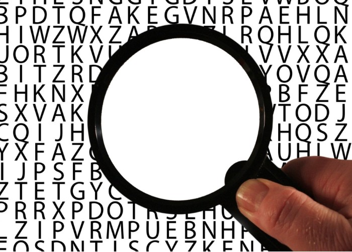 Fix common customer typos on your website's search