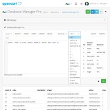 Database Manager Pro