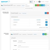 Download API