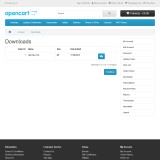 Download API