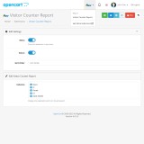 Visitor Counter Report